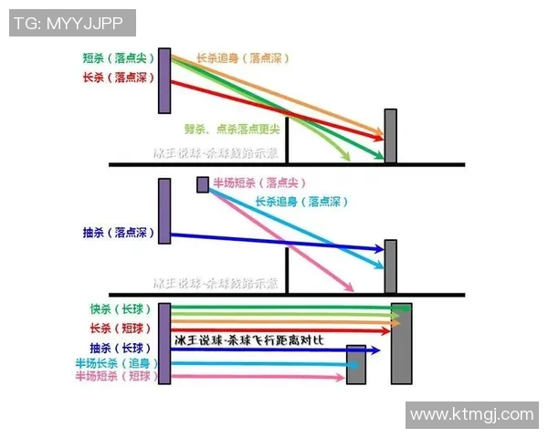 杭州羽毛球队的战术解析与转换体系探讨