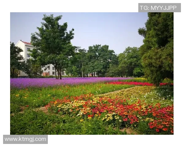 追忆岁月中的绿茵传奇访谈一位曾经的足球明星老人